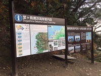 下田 (23).JPG